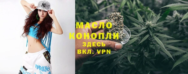 дживик Ладушкин