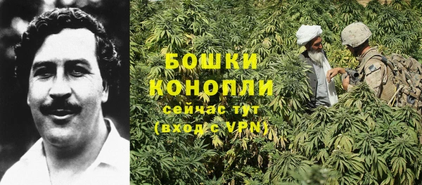 сатива Лагань