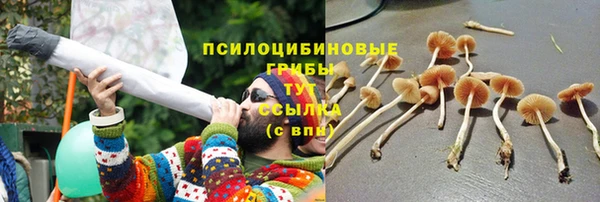 дживик Ладушкин