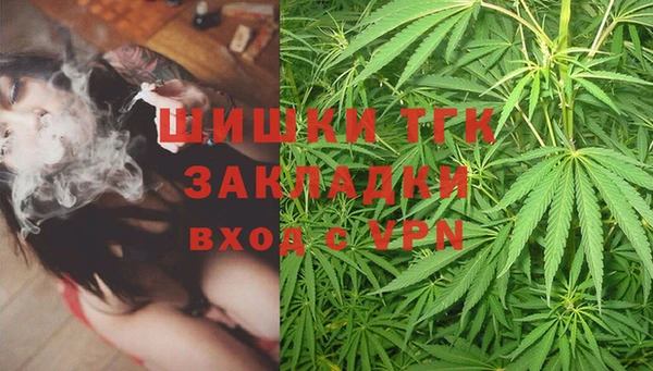 ешки Апатиты