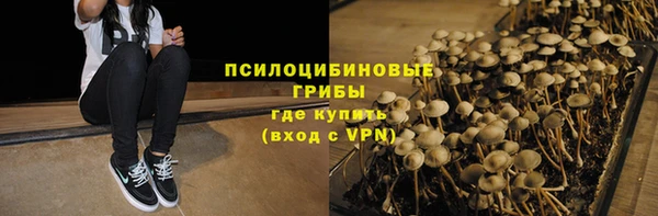 дживик Ладушкин