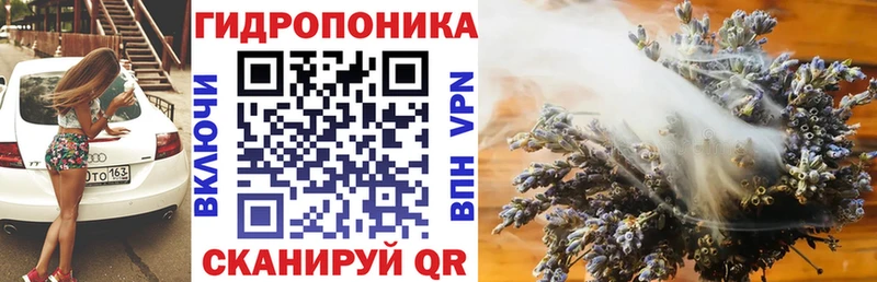 нарко площадка наркотические препараты  Николаевск-на-Амуре  Каннабис VHQ 